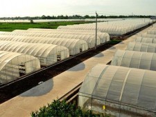 種養結合循環農業建設是促進農業循環經濟發展的需要